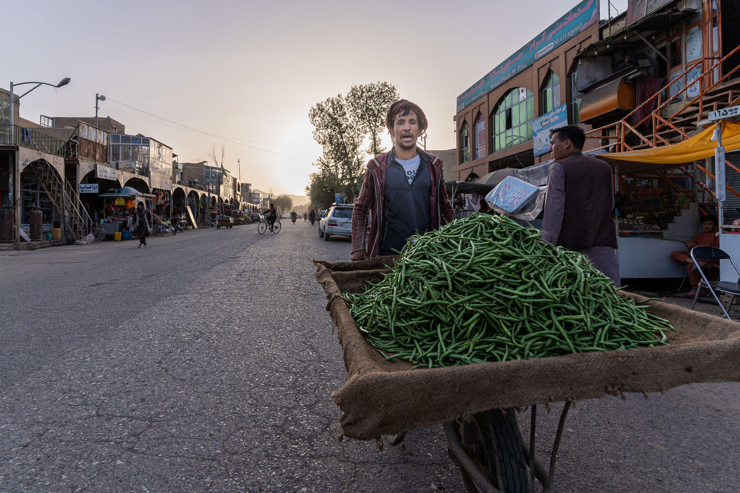 Man with market car